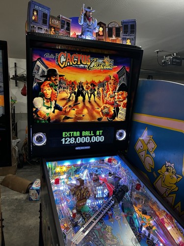 Flipper cgc cactus canyon - cgc, solo